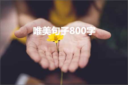 唯美句子800字（文案288条）+